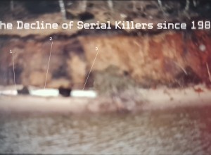 The Decline of Serial Killers since 1989